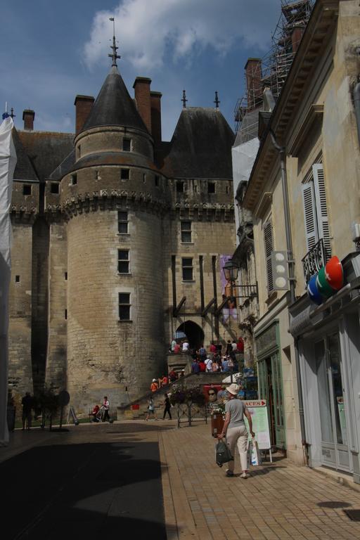 Chambres Et Table D'Hotes Les Machetieres Langeais Zewnętrze zdjęcie
