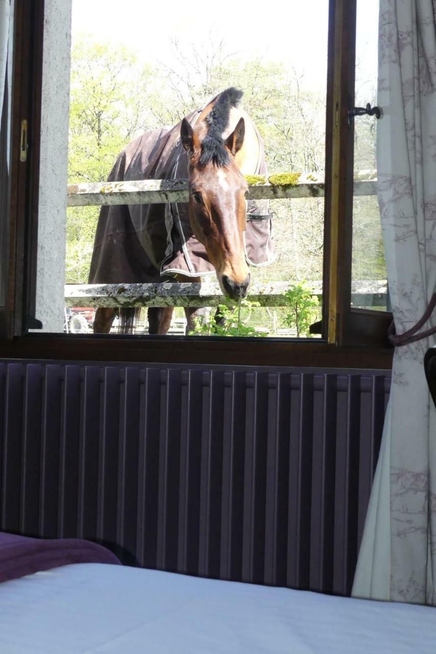 Chambres Et Table D'Hotes Les Machetieres Langeais Zewnętrze zdjęcie
